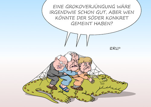 Grokoverjüngung