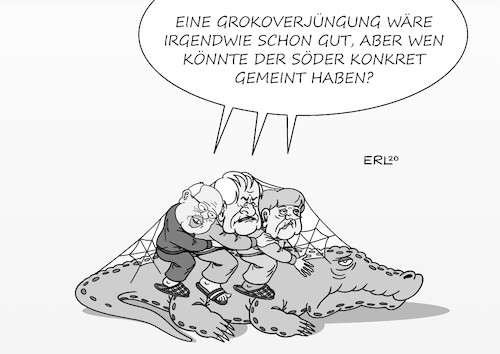 Grokoverjüngung