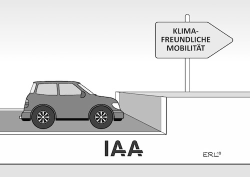 IAA 1