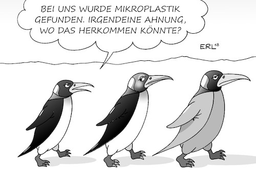 Mikroplastik Antarktis