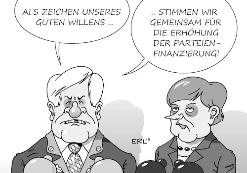 Parteienfinanzierung