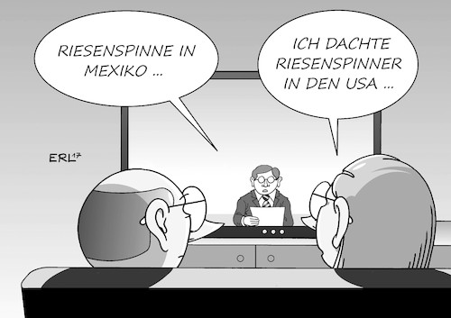 Riesenspinne