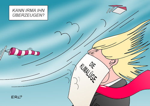 Trump Irma