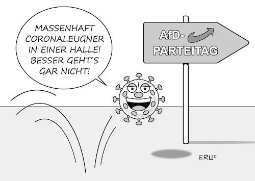 AfD-Parteitag