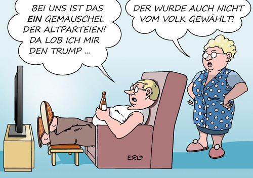 Trump Wahl