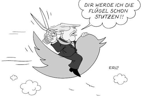 Über den Wolken