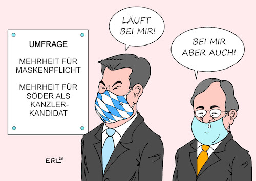 Umfragen By Erl | Politics Cartoon | TOONPOOL