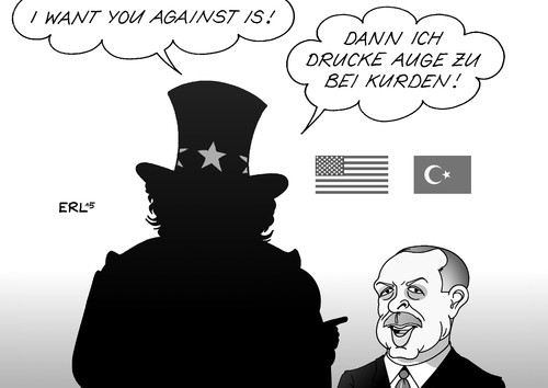 USA Erdogan