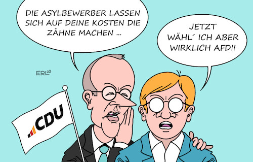 Wahlkampfhelfer