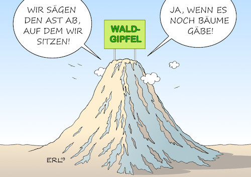 Waldgipfel