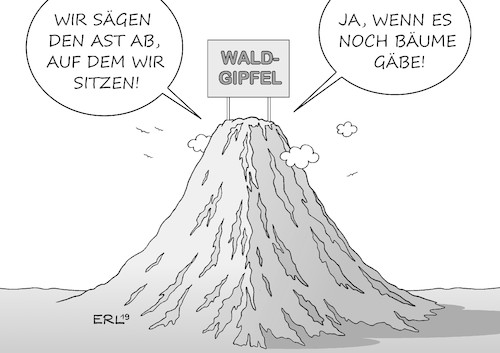 Waldgipfel