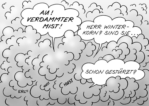 Winterkorn