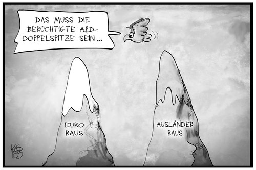 AfD-Doppelspitze