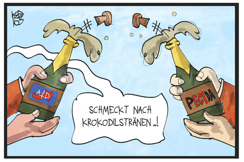 AfD und Pegida