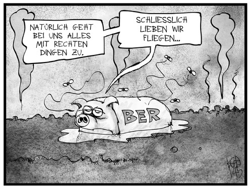 BER und das oder die Fliegen