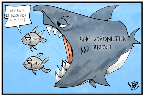 Cartoon: Brexit (medium) by Kostas Koufogiorgos tagged karikatur,koufogiorgos,illustration,cartoon,brexit,labour,tories,fisch,hai,uk,eu,austritt,ungeordnet,fressen,partei,grossbritannien,karikatur,koufogiorgos,illustration,cartoon,brexit,labour,tories,fisch,hai,uk,eu,austritt,ungeordnet,fressen,partei,grossbritannien