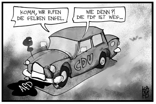 CDU und AfD