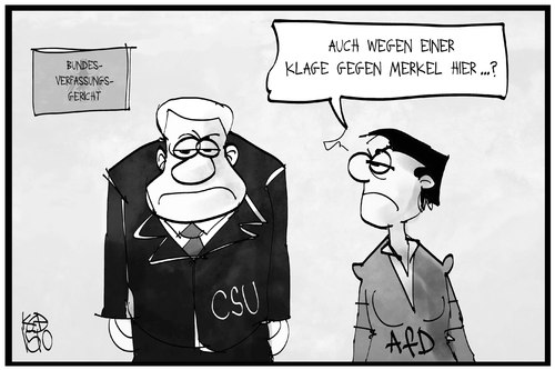 CSU und AfD