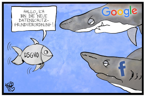 Cartoon: DSGVO (medium) by Kostas Koufogiorgos tagged karikatur,koufogiorgos,illustration,cartoon,datenschutz,dsgvo,google,facebook,verbraucherschutz,eu,europa,gesetz,fisch,hai,internet,daten,karikatur,koufogiorgos,illustration,cartoon,datenschutz,dsgvo,google,facebook,verbraucherschutz,eu,europa,gesetz,fisch,hai,internet,daten