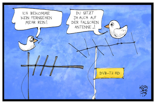 Cartoon: DVB-T2 HD (medium) by Kostas Koufogiorgos tagged karikatur,koufogiorgos,illustration,cartoon,dvbt2hd,antenne,digital,format,fernsehen,vogel,umstellung,tv,technik,karikatur,koufogiorgos,illustration,cartoon,dvbt2hd,antenne,digital,format,fernsehen,vogel,umstellung,tv,technik