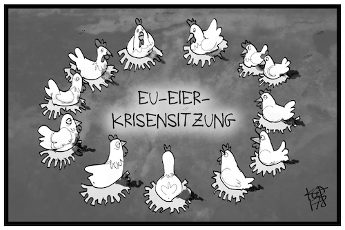 Eier-Krisensitzung