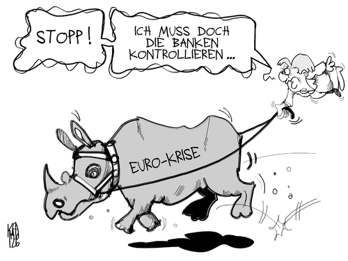 Euro- und Bankenkrise