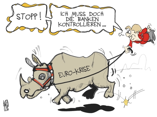 Euro- und Bankenkrise