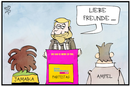 FDP-Parteitag