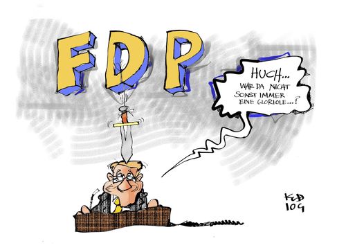 FDP-Parteitag