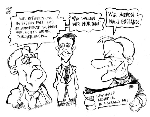 FDP in der Krise