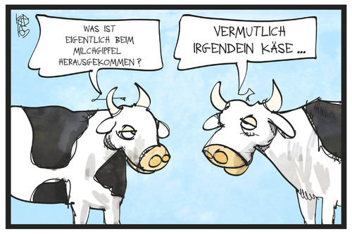 Käse beim Milchgipfel