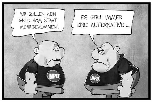 NPD-Finanzierung