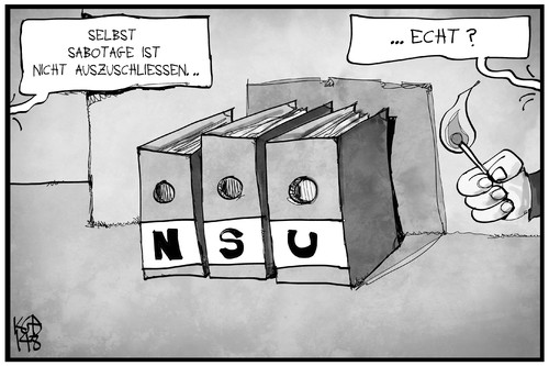 NSU-Abschlussbericht