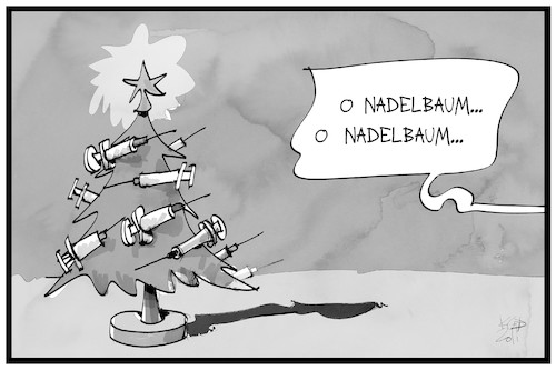 O Nadelbaum