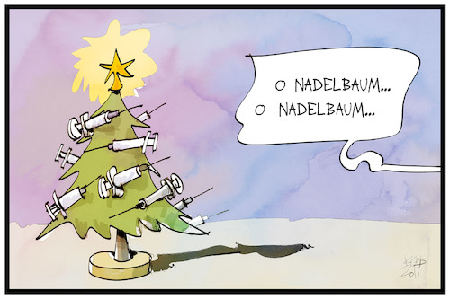 O Nadelbaum