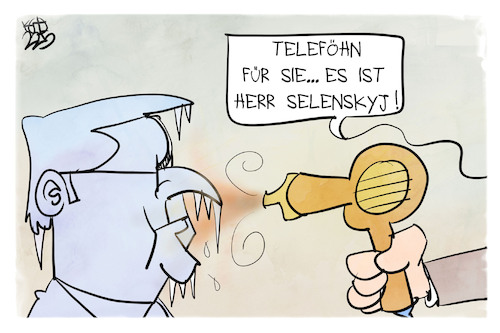 Steinmeier und Selenskyj