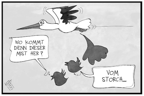 Storch twittert