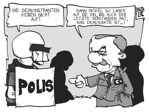 Türkische Demokratie