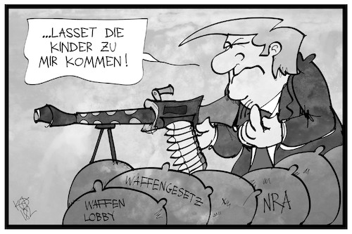 US-Waffengesetze