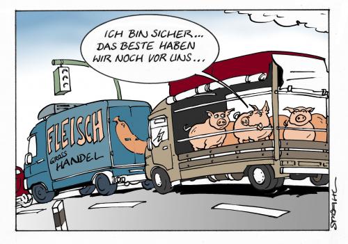 Cartoon: Schwein gehabt (medium) by Micha Strahl tagged micha,strahl,schweine,tiertransporte,hoffnung,optimismus,,schweine,hoffnung,tod,sterben,essen,lebensmittel,nahrung,schicksal,fleischerei,metzger,waren,ware,großhandel,tiertransport,optimismus,tiere,wurst,fleisch,transport,irrglaube,handel