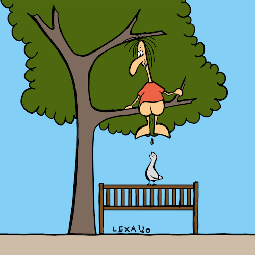 Cartoon: lexatoon Auf den Kopf gekackt (medium) by lexatoons tagged lexatoon,auf,den,kopf,gekackt,vogel,taube,bank,baum,park,lexatoon,auf,den,kopf,gekackt,vogel,taube,bank,baum,park