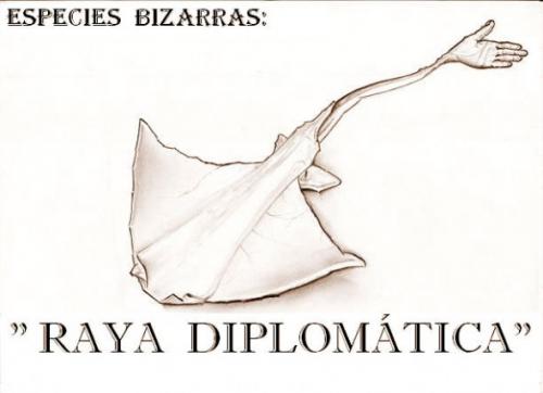 RAYA DIPLOMATICA