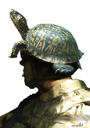 Cartoon: jungles helmet (medium) by Medi Belortaja tagged military,soldier,turtles,turle,helmet,jungle