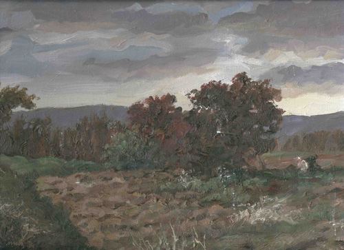 Cartoon: storm in the village (medium) by Medi Belortaja tagged canvas,oil,village,wind,autumn,storm,landscape,painting