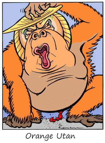 Cartoon: Orange Man (medium) by Riemann tagged donald,trump,ex,president,liar,abuser,criminal,american,politics,orang,utan,ape,affe,lügner,politiker,bully,republican,party,republikaner,cartoon,george,riemann,donald,trump,ex,president,liar,abuser,criminal,american,politics,orang,utan,ape,affe,lügner,politiker,bully,republican,party,republikaner,cartoon,george,riemann