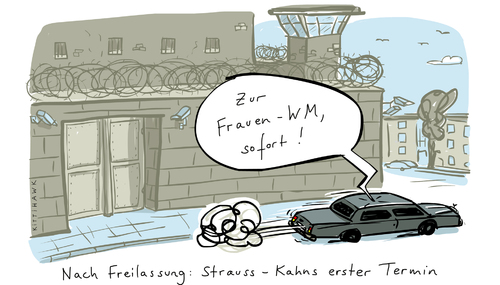 strauss-kahn freilassung