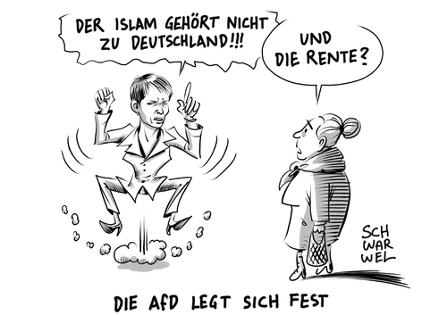 AfD Parteitag