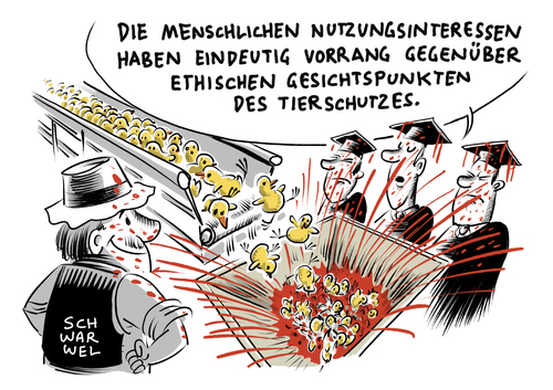 Cartoon: Massentötungen von Küken (medium) by Schwarwel tagged urteil,massentötungen,küken,tier,tiere,lebensmittel,nahrung,fleischfresser,vegan,vegetarisch,tierschutzgesetz,tot,tod,mord,kükenschredder,karikatur,schwarwel,tierschutz,schredder,urteil,massentötungen,küken,tier,tiere,lebensmittel,nahrung,fleischfresser,vegan,vegetarisch,tierschutzgesetz,tot,tod,mord,kükenschredder,karikatur,schwarwel,tierschutz,schredder