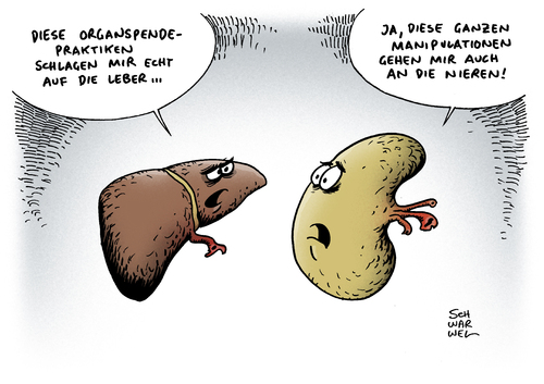 Cartoon: Organspende Skandal (medium) by Schwarwel tagged organspende,skandal,leipzig,deutschland,organ,arzt,krankenhaus,karikatur,schwarwel,organspende,skandal,leipzig,deutschland,organ,arzt,krankenhaus,karikatur,schwarwel