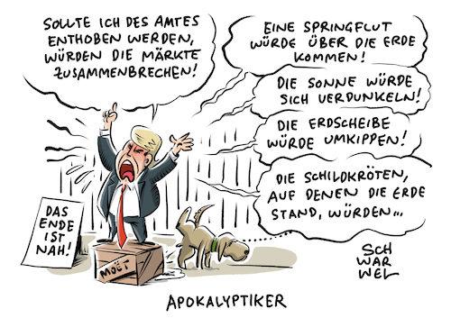 Trump Amtsenthebung